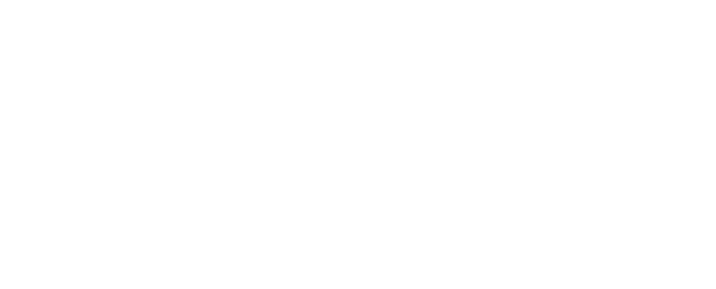 Screen Solutions International